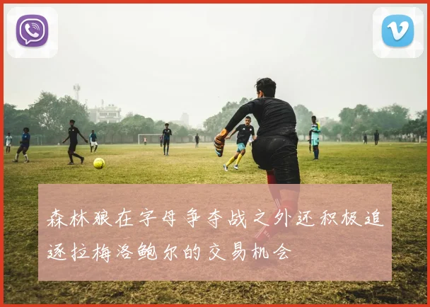 森林狼在字母争夺战之外还积极追逐拉梅洛鲍尔的交易机会