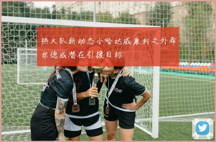热火队新动态小哈达威康利之外希尔德成潜在引援目标